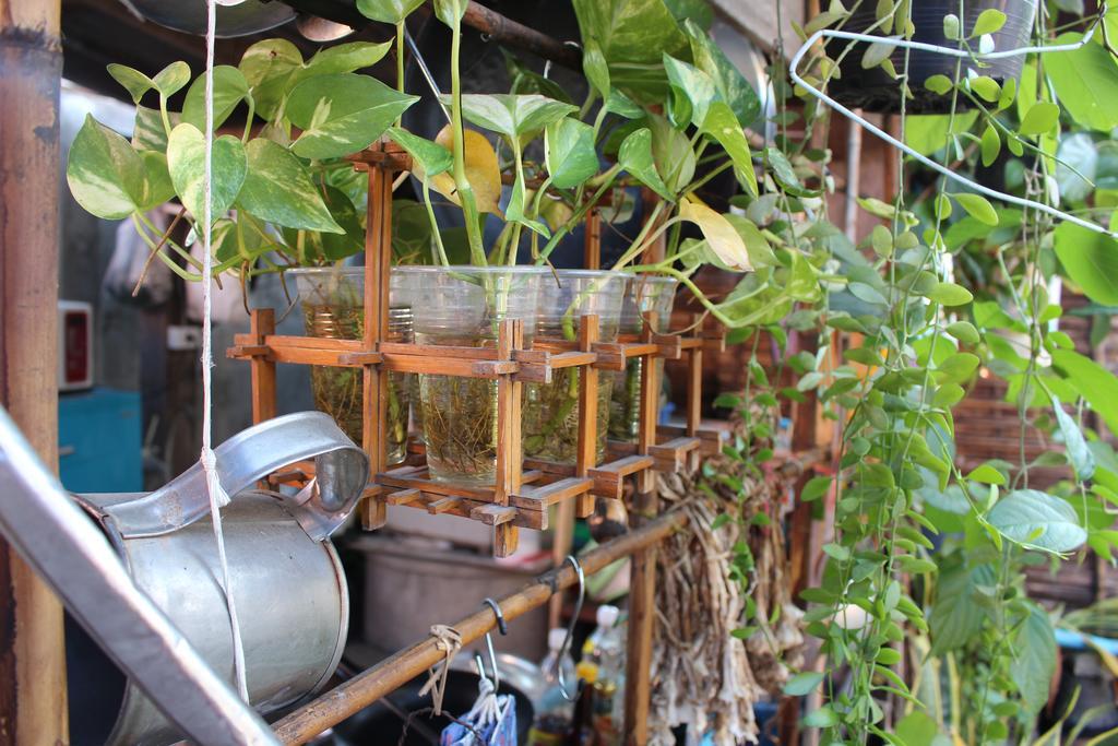 Baan Arlhan Chiang Mai Eksteriør bilde
